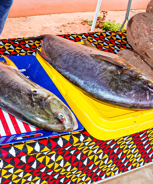 Quiçama - Pontecialidade da Pesca